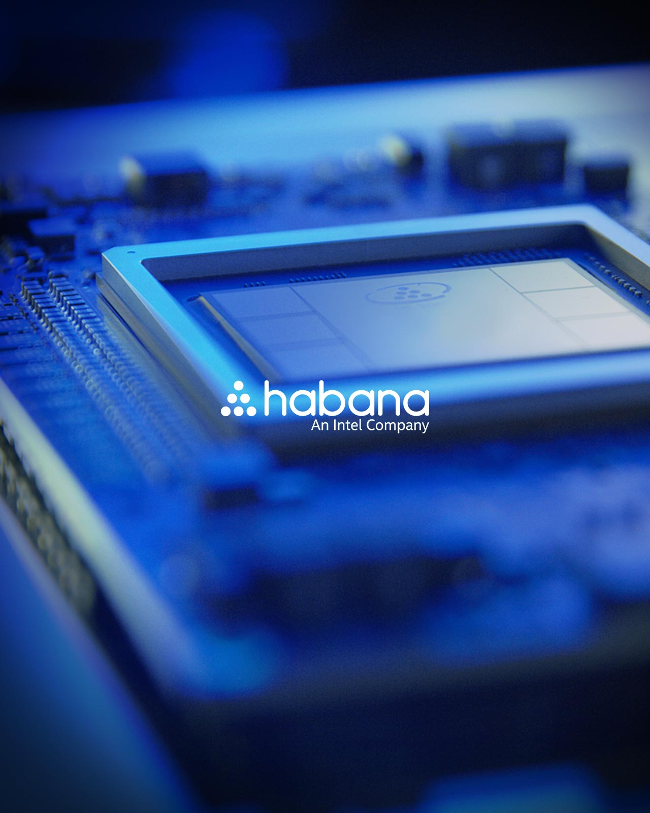 Habana Labs Website
